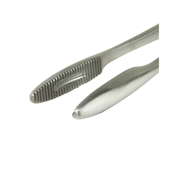 Tampontang - Gross-Maier 25 cm - Lige