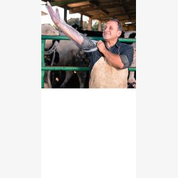 Veterinrhandske i PE-folie 90 cm 100 stk