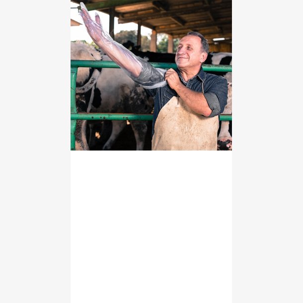 Veterinrhandske i PE-folie 90 cm 100 stk